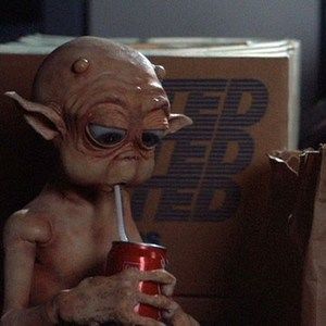 Meet your Posher, Vivian